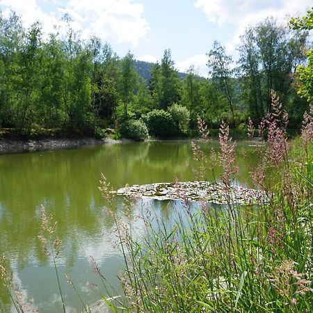 La Maison Et L'Etang - Grand Terrain Prive Vagney Εξωτερικό φωτογραφία